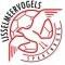 IJsselmeervogels U21